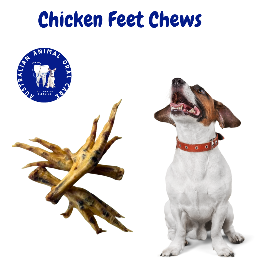 Chicken Feet Dental Chew