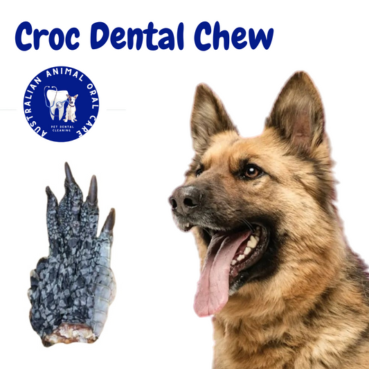 Crocodile Feet Dental Chew
