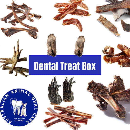 Dog Dental Treat Box