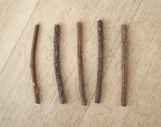 Matatabi Cat Dental Stick