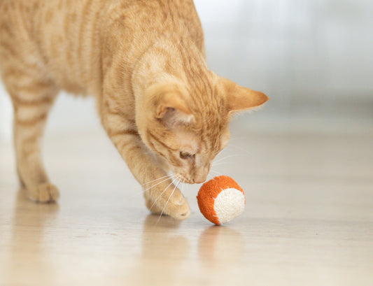 Dental Ball Toy - Loofah Small