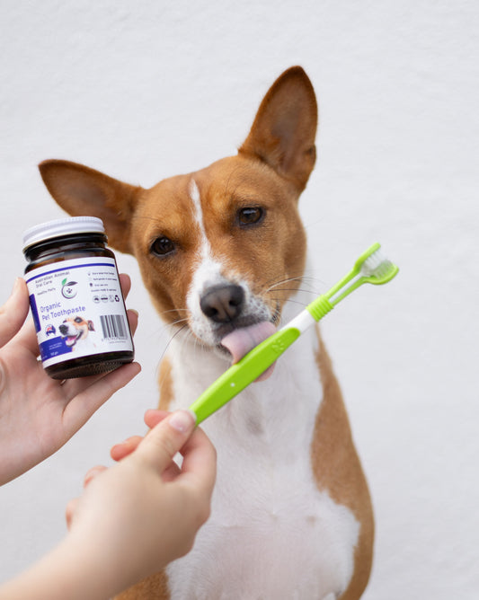 Organic Pet Toothpaste Australian Animal Oral Care