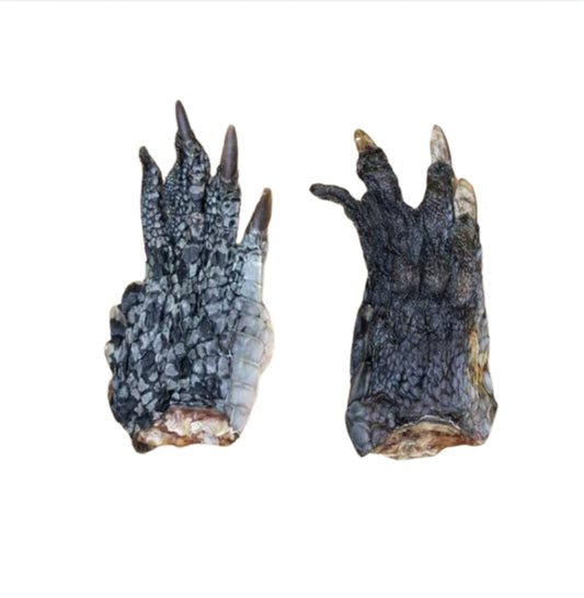 Crocodile Feet Dental Chew