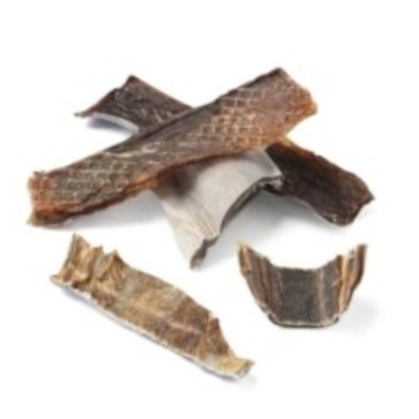 Shark Skin Dental Chews