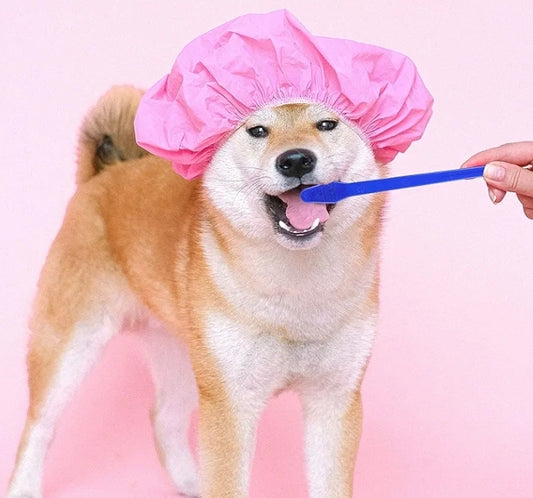 Dual Ended Toothbrush