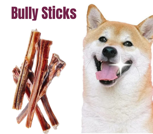 Bully Stick Dental Chews