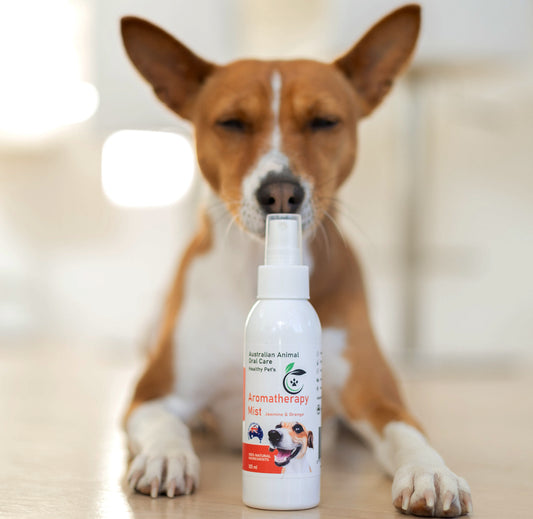 Pet Aromatherapy - Jasmine & Orange