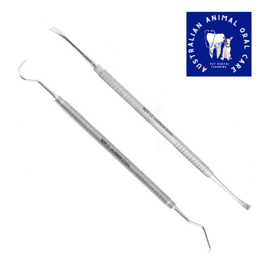 2 x Dental Scalers - Flat Edge & Curved