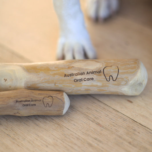 Coffee Wood Dental Chew