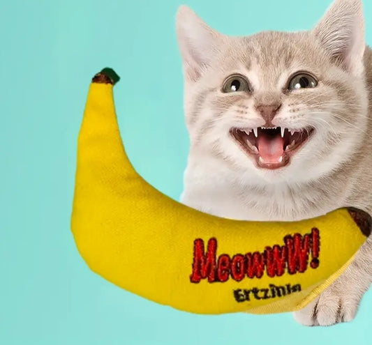 Banana Cat Toy with Catnip