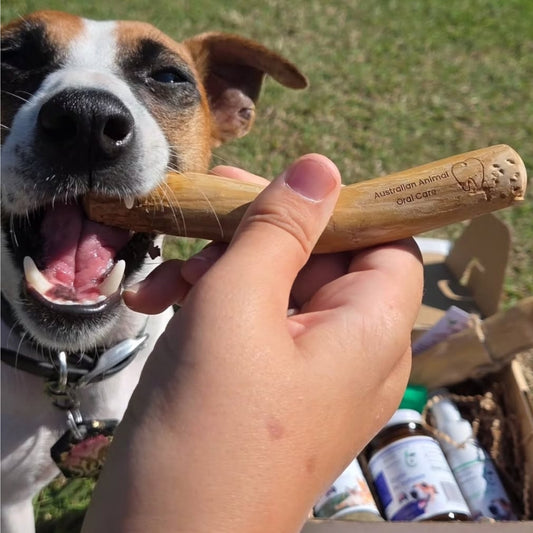 Coffee Wood Dental Chew