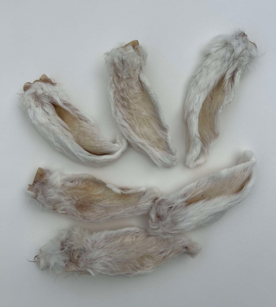 Dental Snack Pack - 200gm