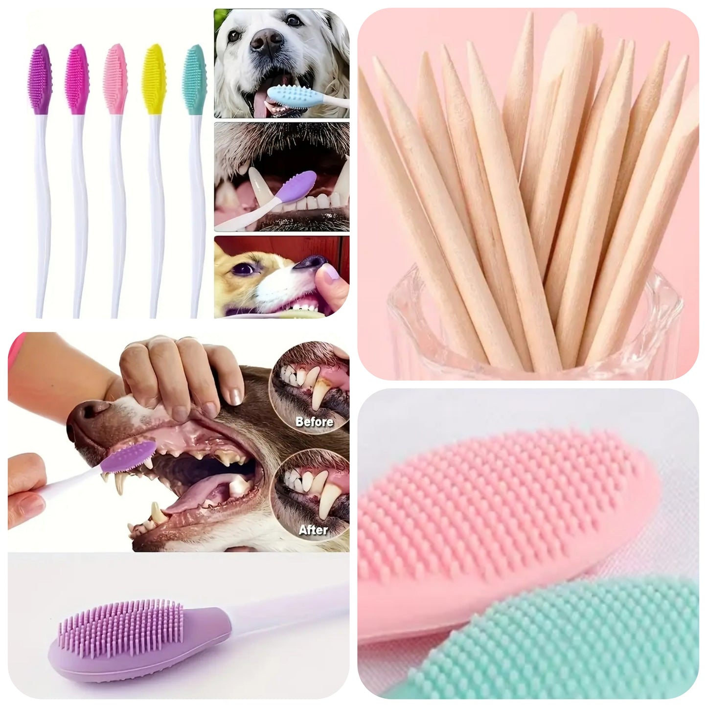 Mira Pet Ultrasound Starter Kit