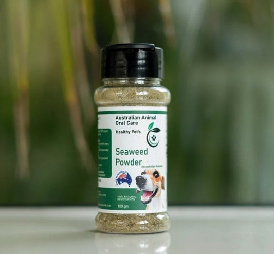 Pet Dental Seaweed Powder -  Ascophyllum Nodosum