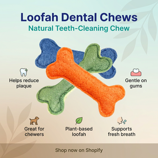 Dental Bone Toy - Loofah Large