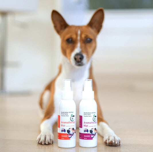 Pet Aromatherapy Duo