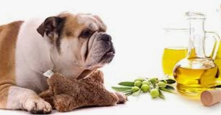 Organic Neem Oil Spray