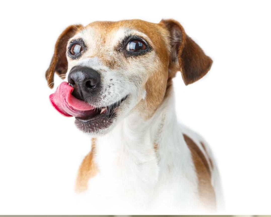 Chicken Dental Chews