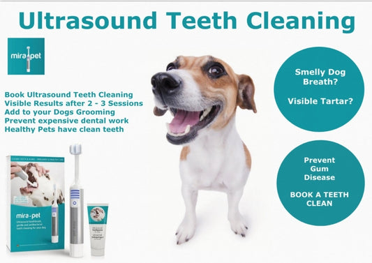 Mirapet Marketing Postcards