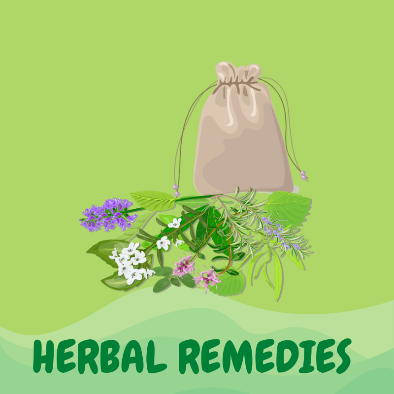 Pet Herbal Remedies