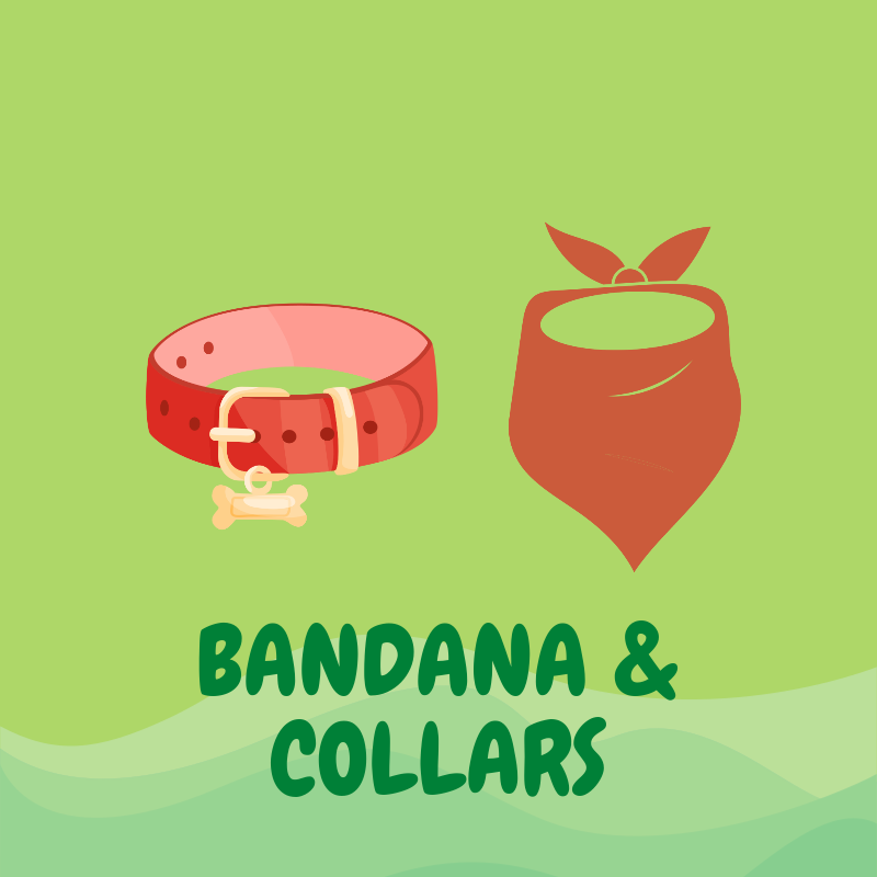 Pet Bandanas & Collars