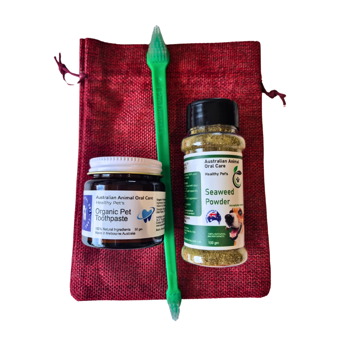 Mini Dental Gift Pack