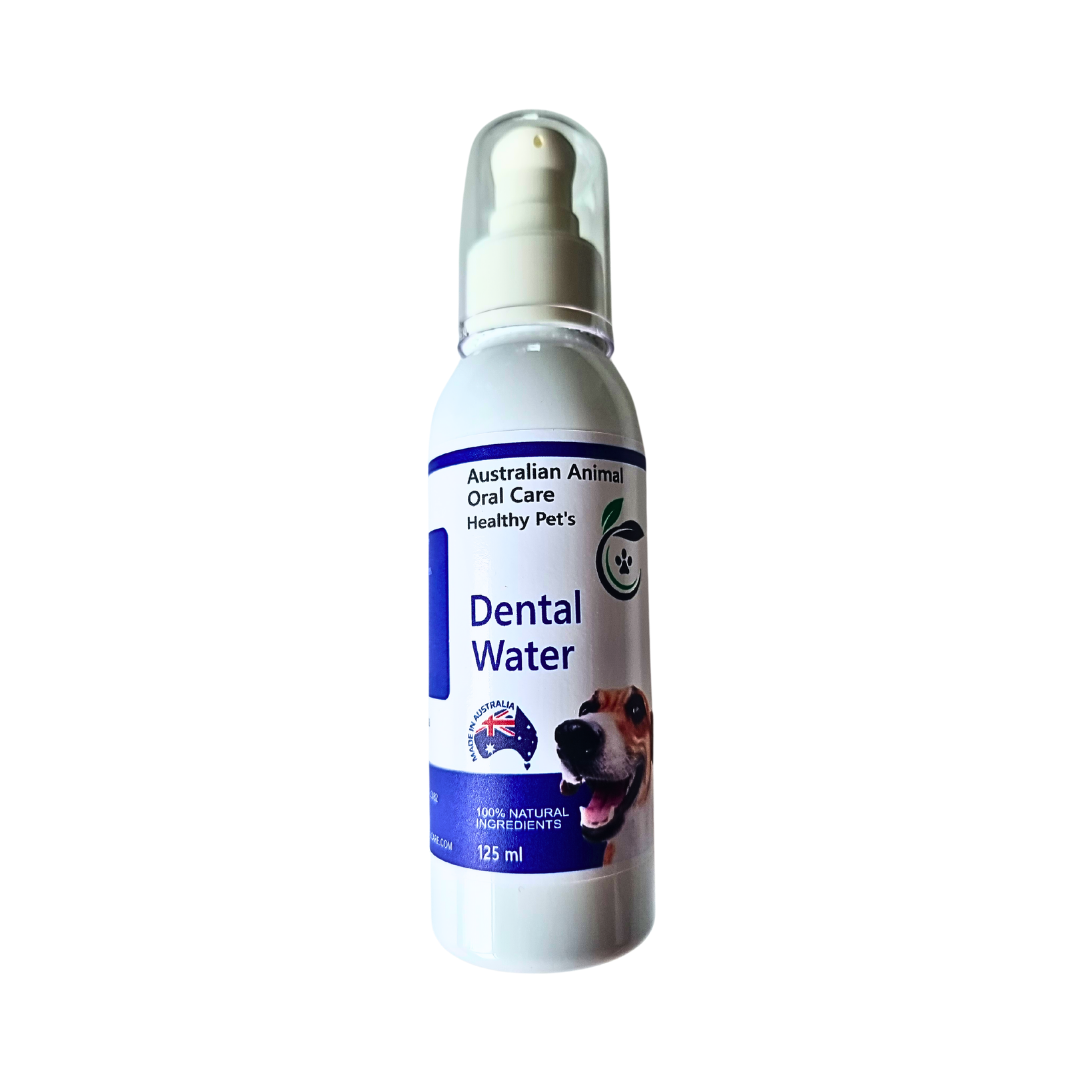 Dental Water