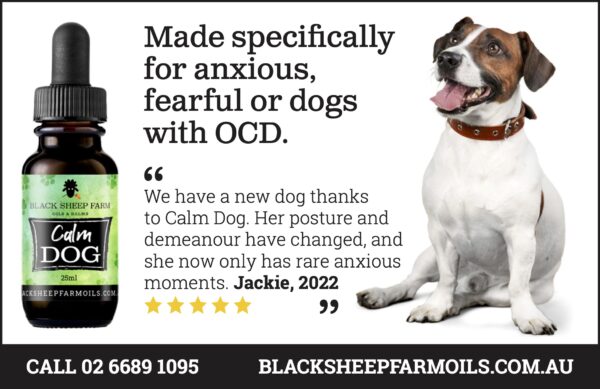 Calm Dog – Pet Hemp Oil