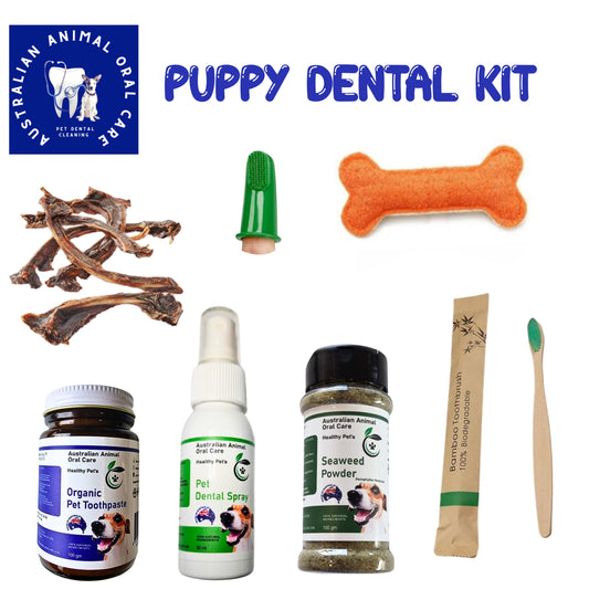 Puppy Dental Kit