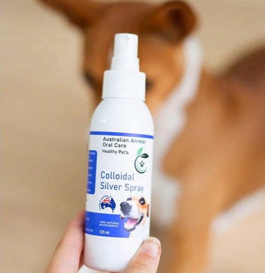 Bottle of Colloidal Silver Spray for pets held in front of a dog.