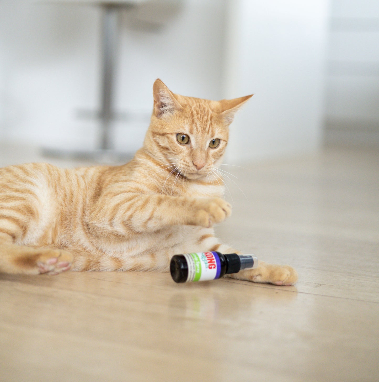 Catnip Spray 30ml
