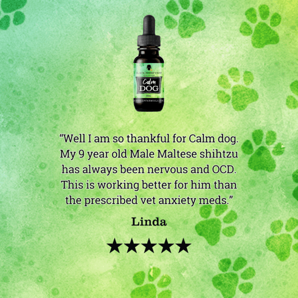 Calm Dog – Pet Hemp Oil