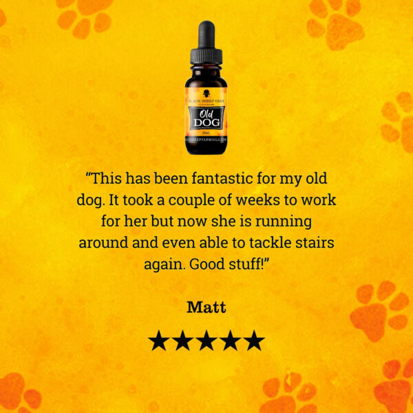 Old Dog – Pet Hemp Oil