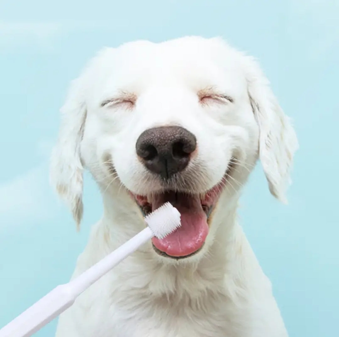 360 Degree Dog Toothbrush