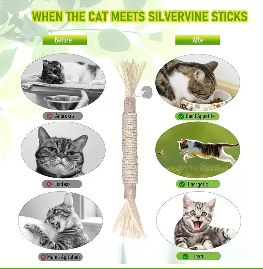 Silvervine Dental Chew