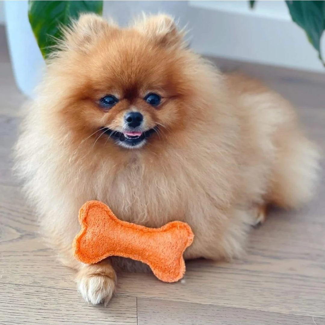 Dental Bone Toy - Loofah Small