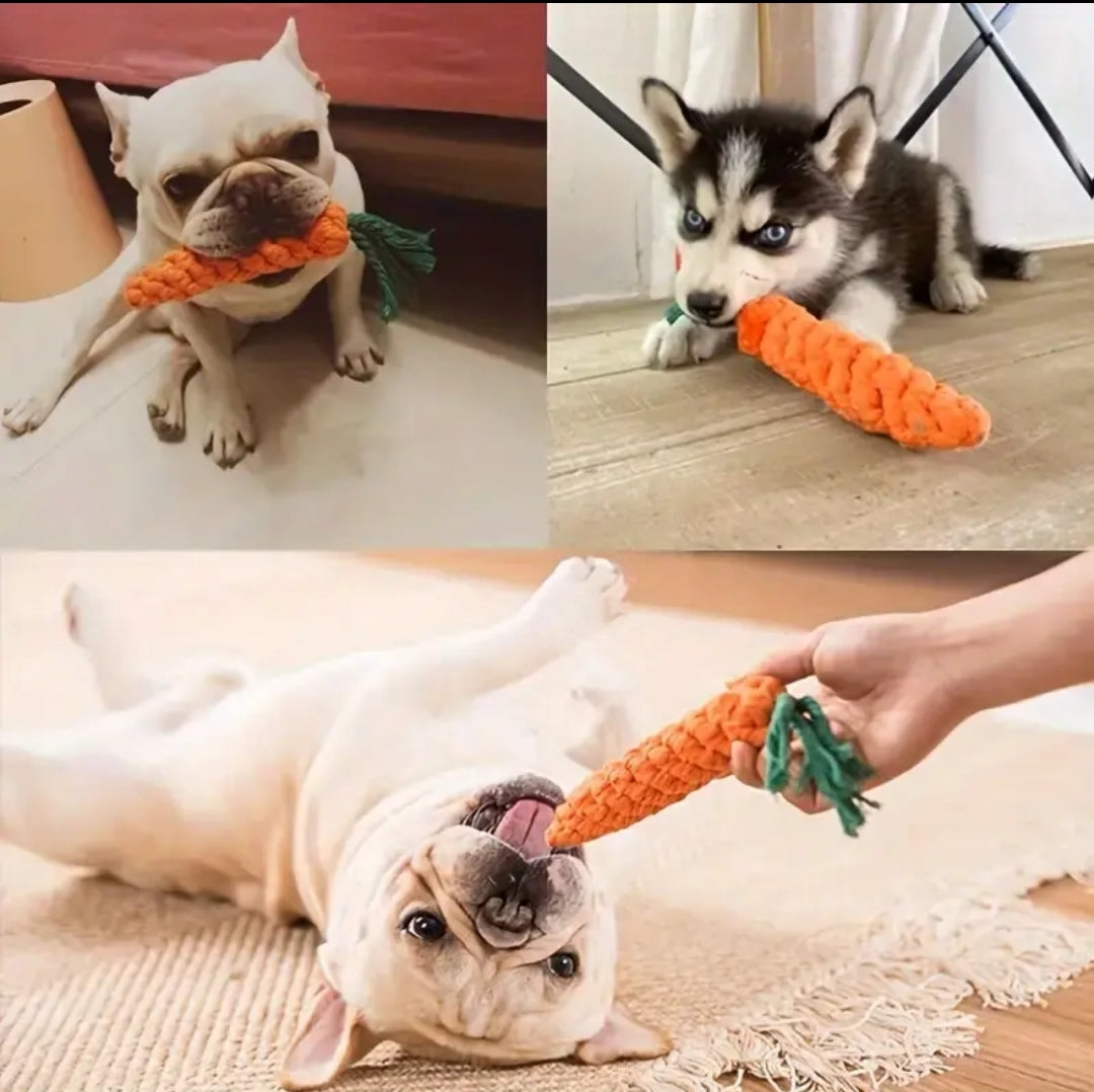 Carrot Dental Chew - Cotton