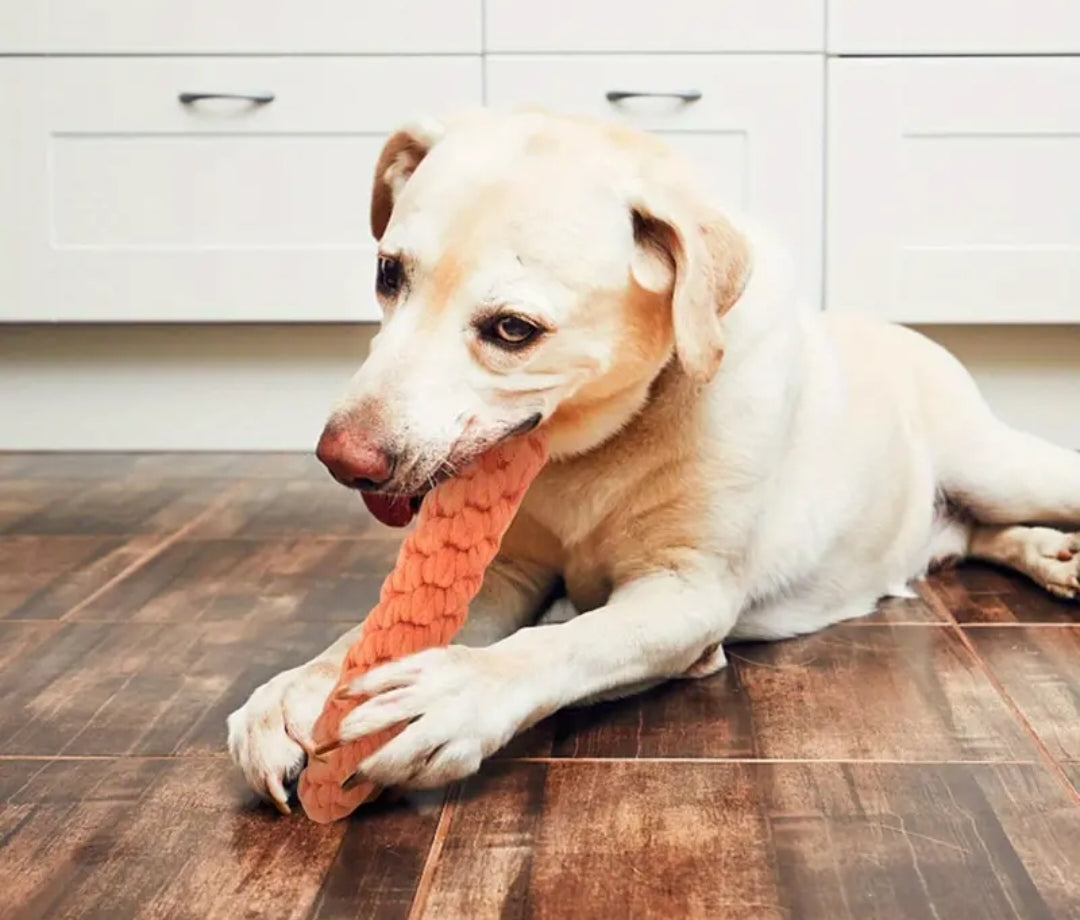 Carrot Dental Chew - Cotton