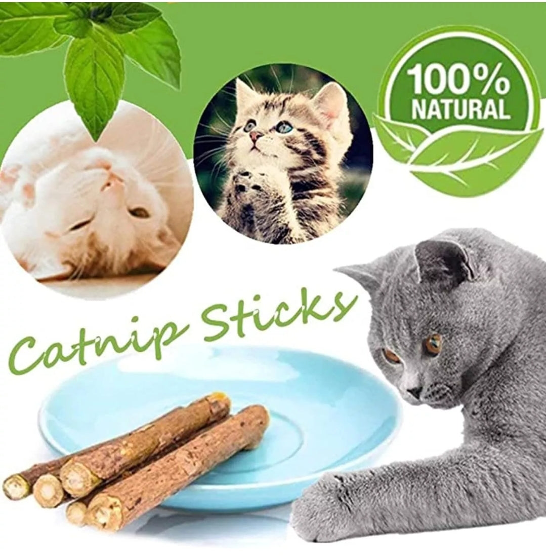 Matatabi Silvervine Dental Stick for Cats