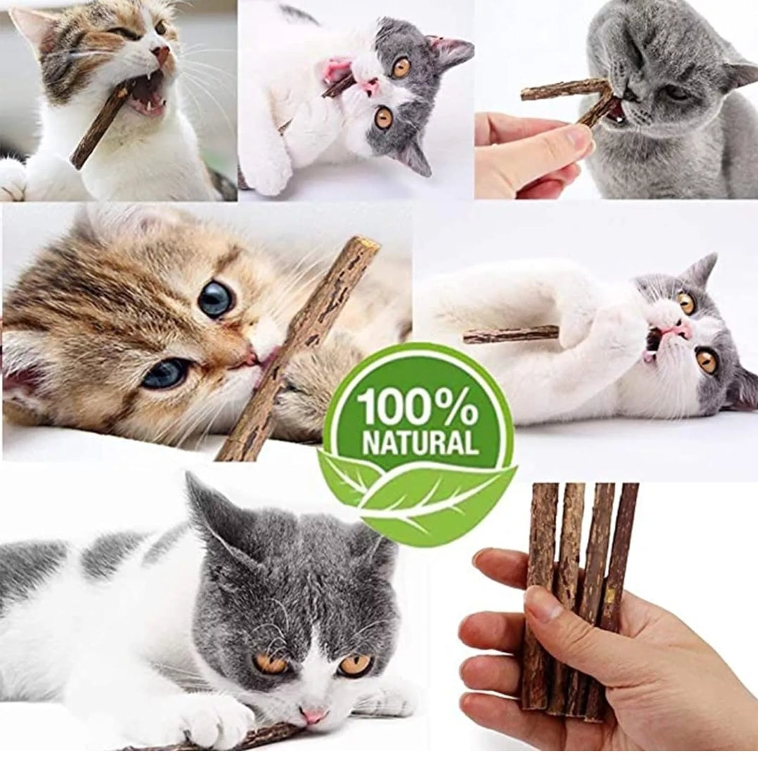 Matatabi Silvervine Dental Stick for Cats