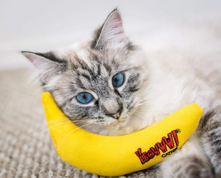 Banana Cat Toy with Catnip