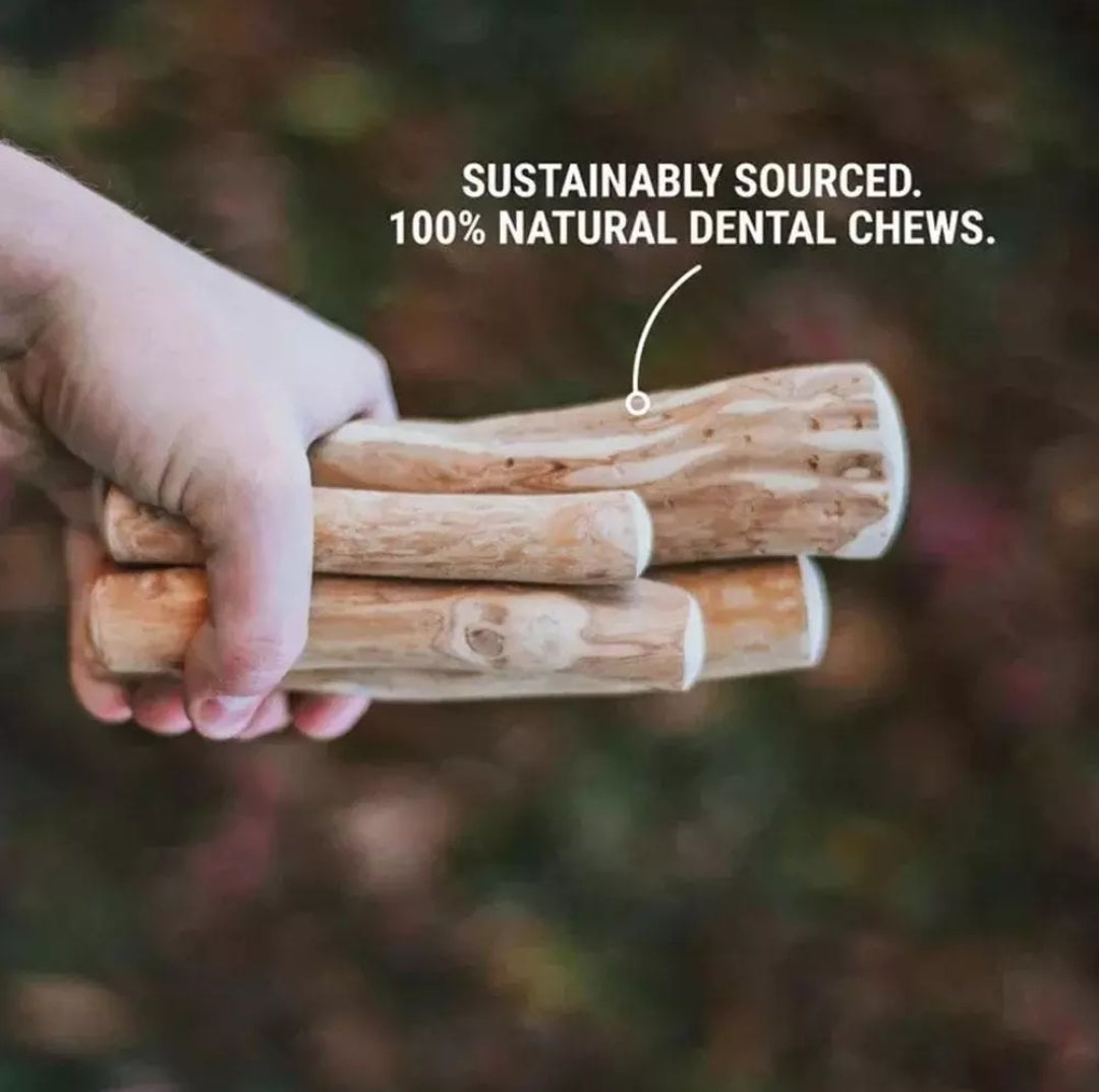 Coffee Wood Dental Chew