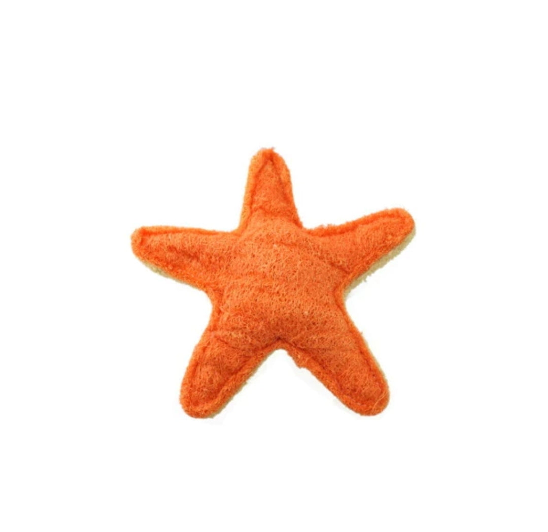 Dental Starfish Toy - Loofah Large