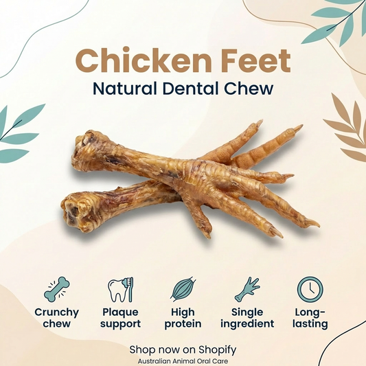 Chicken Feet Dental Chew