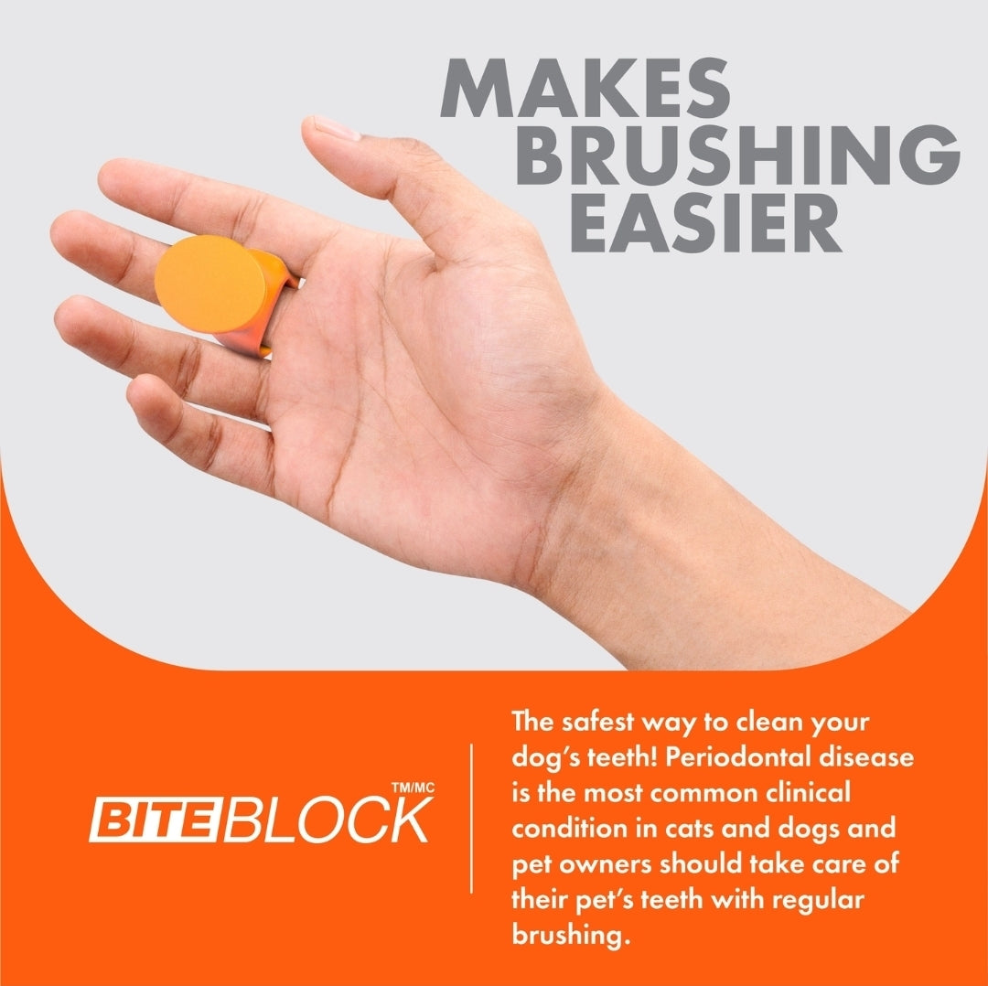 Bite Block