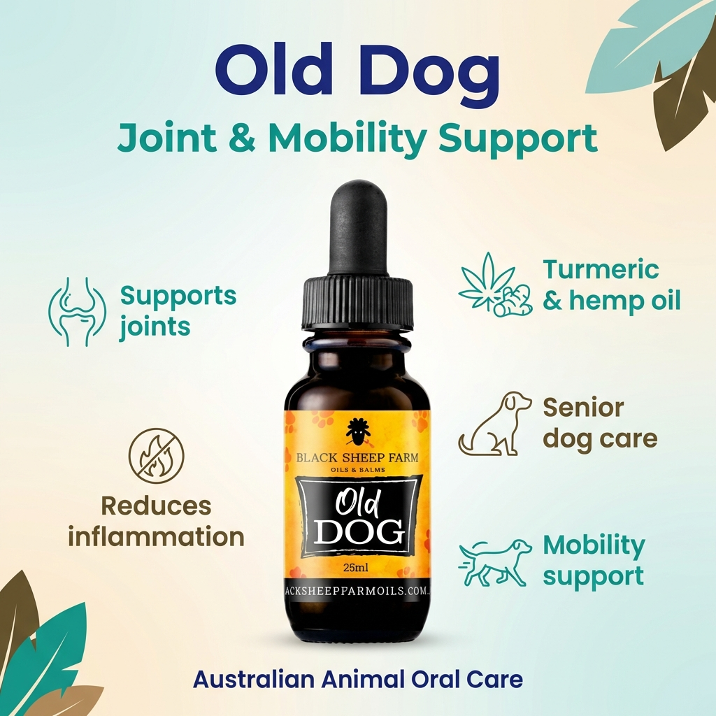 Old Dog – Pet Hemp Oil