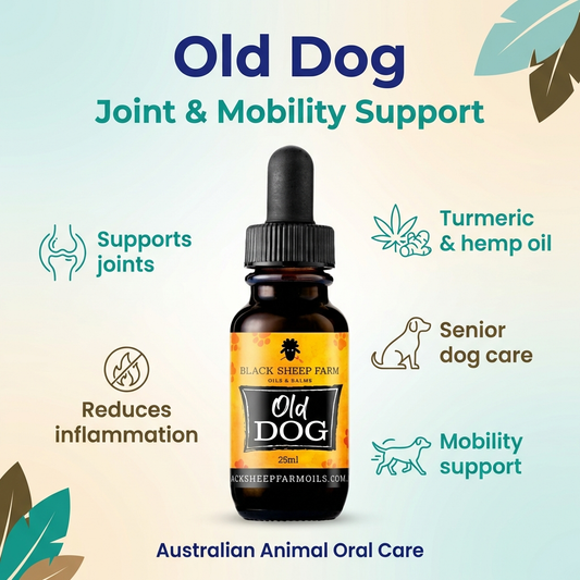 Old Dog – Pet Hemp Oil