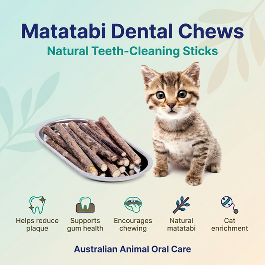 Matatabi Silvervine Dental Stick for Cats