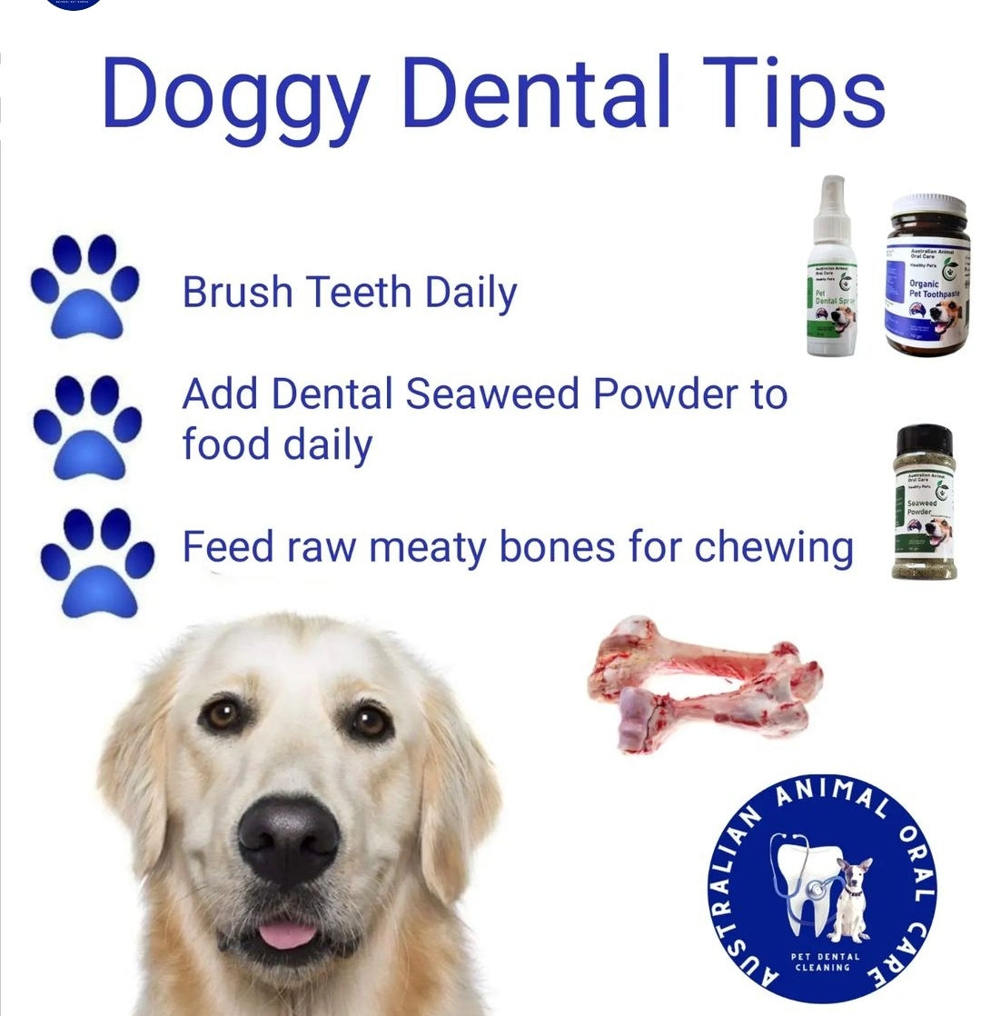 Pet Dental Kit