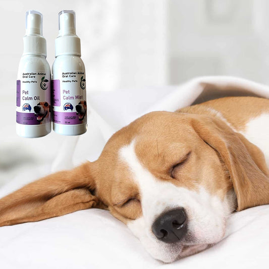 Gift Pack - Pet Calm